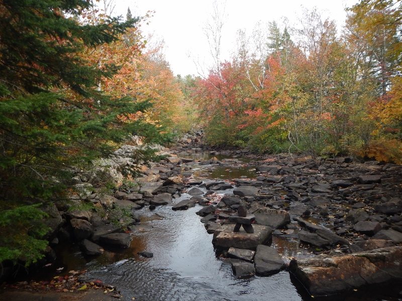 2015 Fall Colour
        and a stream in Algonquin Park