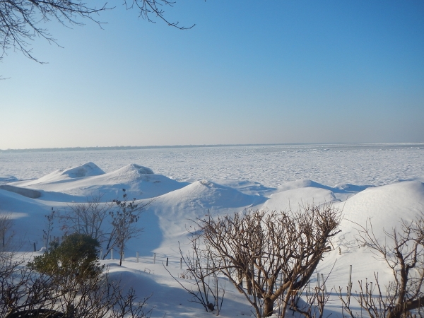 Feb 14 Lake Huron winter view of beach looking west