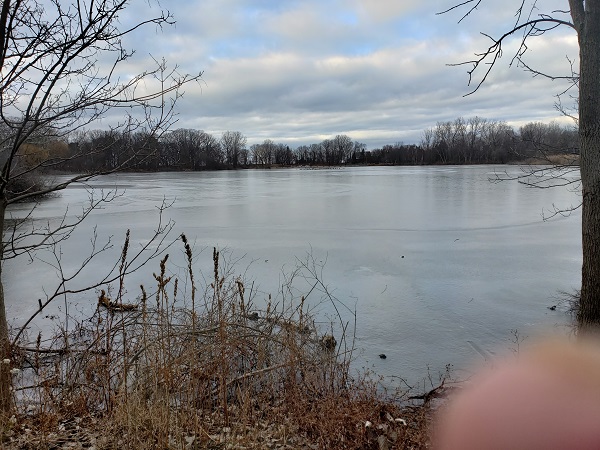 2020 BCt Lake Chipican begins to ice over