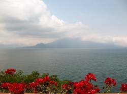 Another Volcano
              view with flowers in foreground