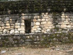 Mayan Ruins of Temple Wall at Quirigua
