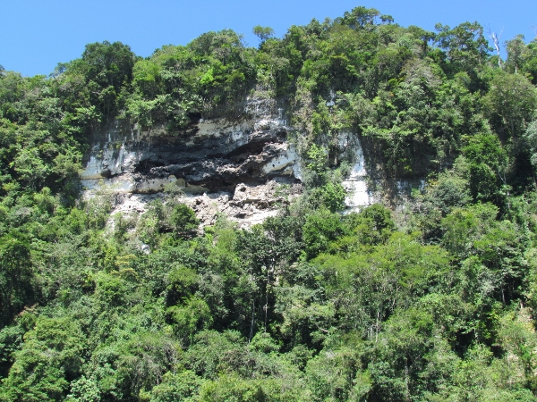 One of the Bluffs along the Gorge in
            the Rio Dulce