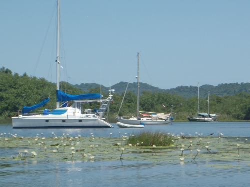 Dutch Treat and Tundra anchored in La
            Laguna with Lily Pads in the forground