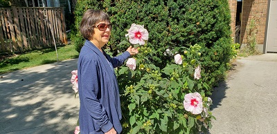 2024 Aug 13 Kathy and her Dinner Plate Hibiscus