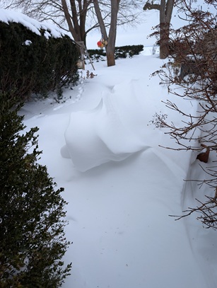 2025_snowdrift_feb22